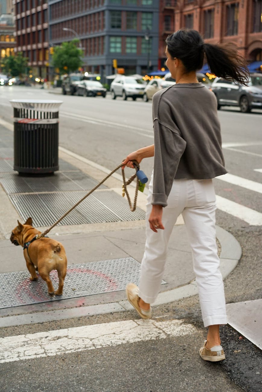 Dog Walking Etiquette in the City and Countryside